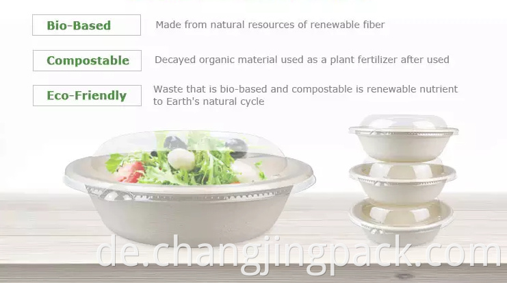  sugarcane bagasse packaging